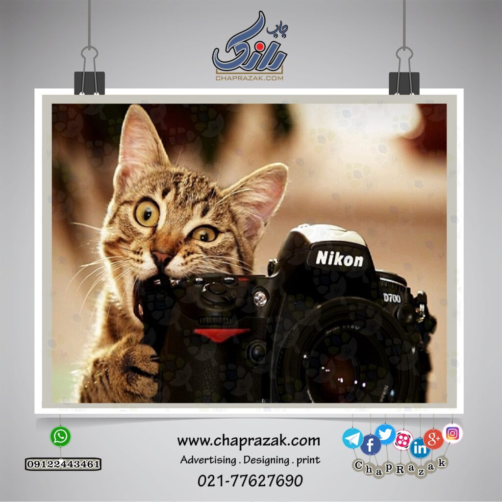 مفاهیم پایه عکاسی